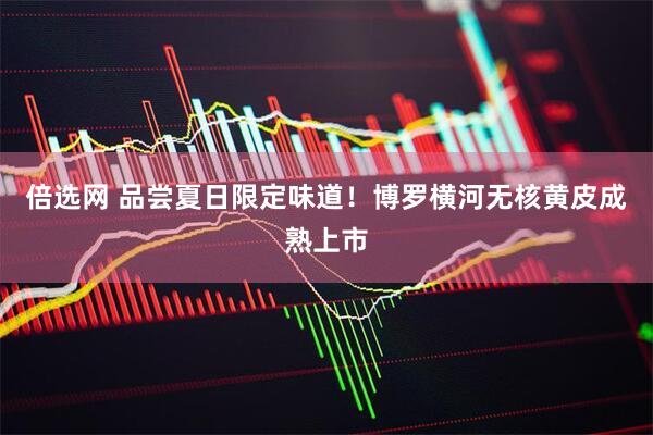 倍选网 品尝夏日限定味道！博罗横河无核黄皮成熟上市