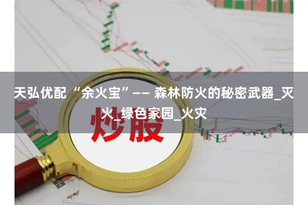 天弘优配 “余火宝”—— 森林防火的秘密武器_灭火_绿色家园_火灾