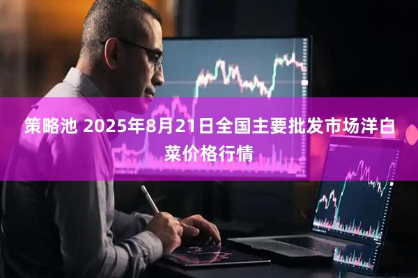 策略池 2025年8月21日全国主要批发市场洋白菜价格行情