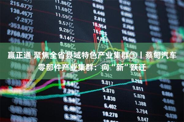 赢正通 聚焦全省县域特色产业集群③丨蔡甸汽车零部件产业集群：向“新”跃迁